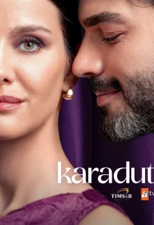 Турецкий сериал Черная Шелковица