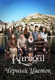 Турецкий сериал Чёрный цветок