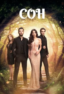 Турецкий сериал Сон