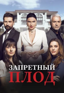 Турецкий сериал Запретный плод