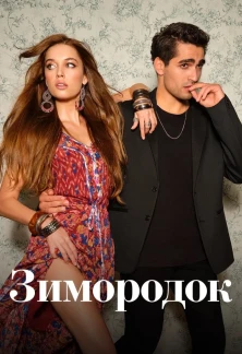 Турецкий сериал Зимородок