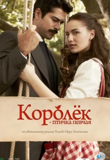 Турецкий сериал Королек – птичка певчая (2013 - 2014)