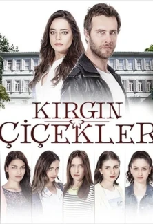 Турецкий сериал Обиженные цветы