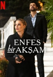 Турецкий сериал Восхитительный вечер
